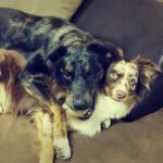 Cylus-and-Charley-Lott Cylus-and-Charley-Lott